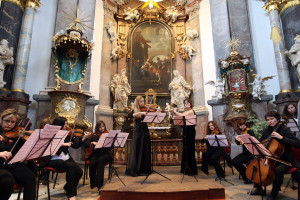 Festival hudby, Malý dobrodruh