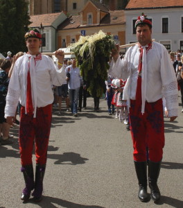 Vinobraní v Mikulově, Malý dobrodruh