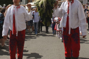 Vinobraní v Mikulově, Malý dobrodruh