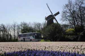 Keukenhof, Malý dobrodruh