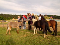 Na Farmě-Blaník se vaše děti seznámí se zvířaty, které tu jsou ve volném výběhu. Foto: www.farmablanik.cz