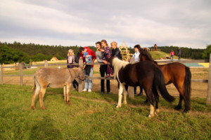 Farma Blaník, Malý dobrodruh