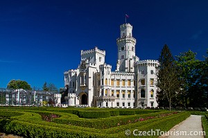 IMG_8004