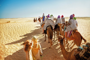 Marsa Alam, Malý dobrodruh