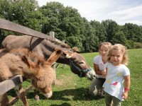 Prožijte den na opravdové farmě. Foto: www.farmablanik.cz