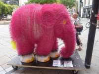 Slony nejrůznějších barev a materiálů si můžete prohlédnout v ulicích Trevíru a Lucemburku. Foto: Agenturhaus