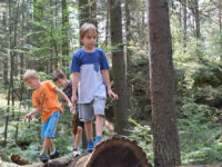 Les je významný pro lidské zdraví a dá se také využít jako skvělá herna a tělocvična. Foto: www.juklik.cz