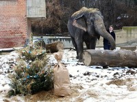 Foto: www.zoopraha.cz