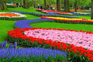 keukenhof2