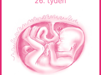 Aplikace BabyTouch vás bude provázet celým těhotenstvím. Foto: www.babytouch.cz