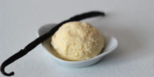 Domácí vanilková zmrzlina, Malý dobrodruh