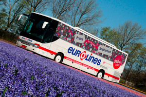 Keukenhof bus, Malý dobrodruh