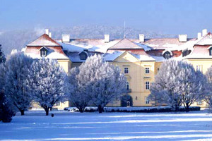 Vizovice, zámek, zima, zabijačka, Moravský kulinářský institut, malý dobrodruh